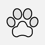 Pet Tool+ Pet Tool+
