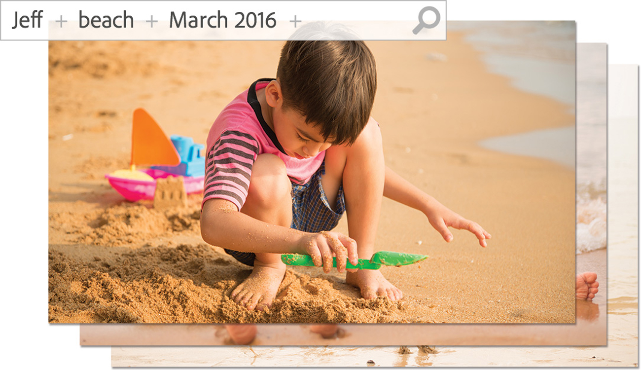 Adobe Photoshop & Premiere Elements 15 zawartość zawsze pod ręką