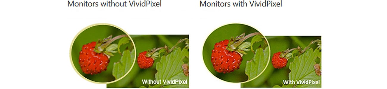 ASUS VP247HA czarny Monitory LED 24