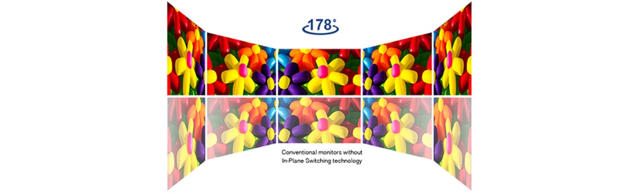 ASUS BE249QLB Żywe, realistyczne efekty wizualne