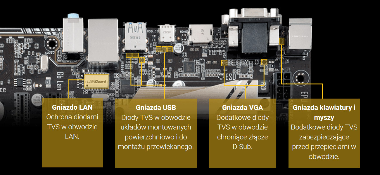 ASUS v Strażnicy ESD Guard