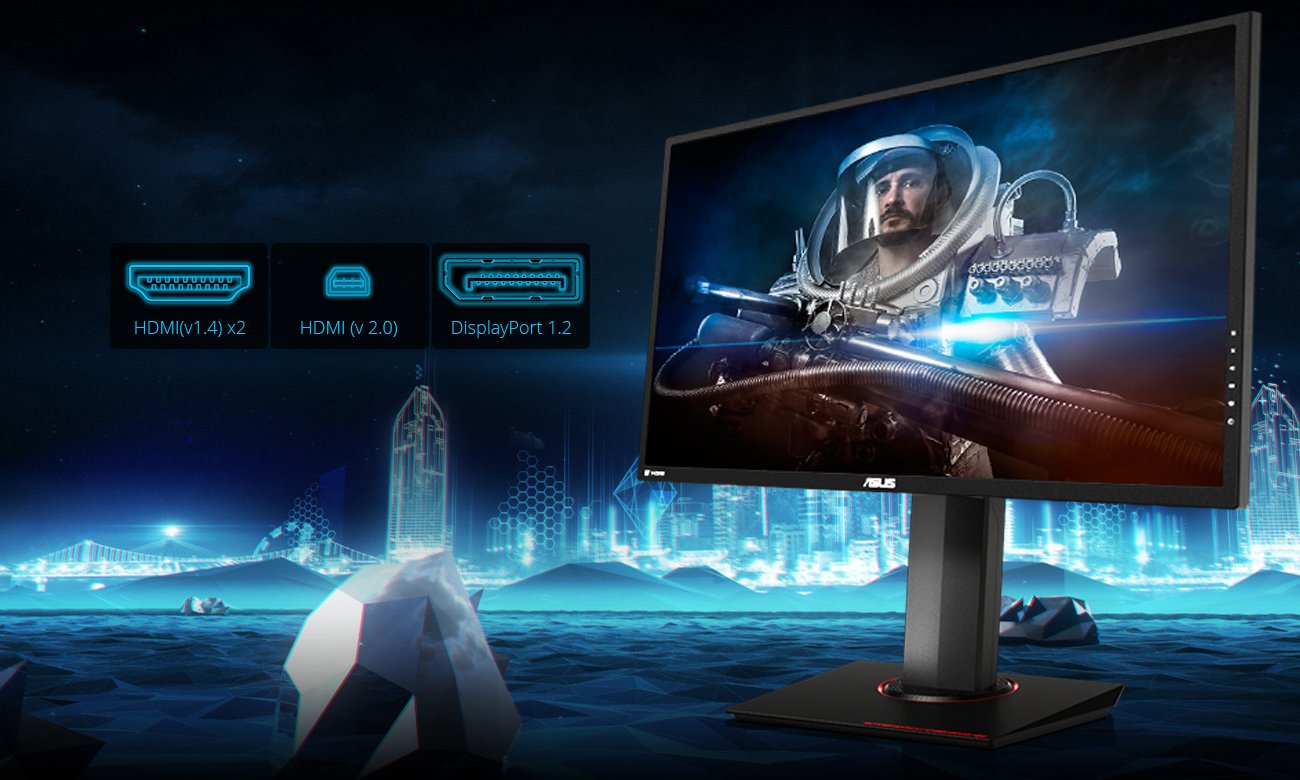 ASUS MG24UQ 4K Mnogość portów