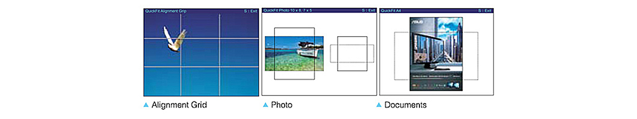 QuickFit Virtual Scale