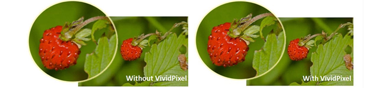 ASUS VX229H vivid pixel