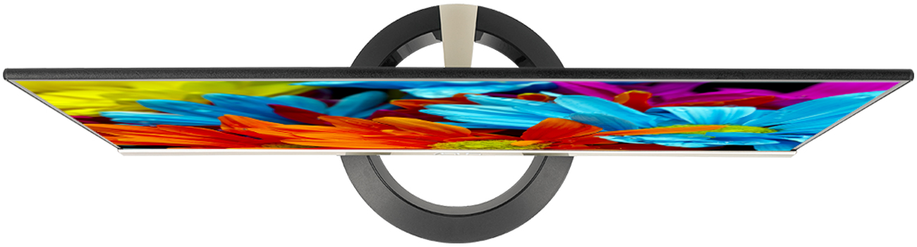 ASUS VZ249H Panel IPS