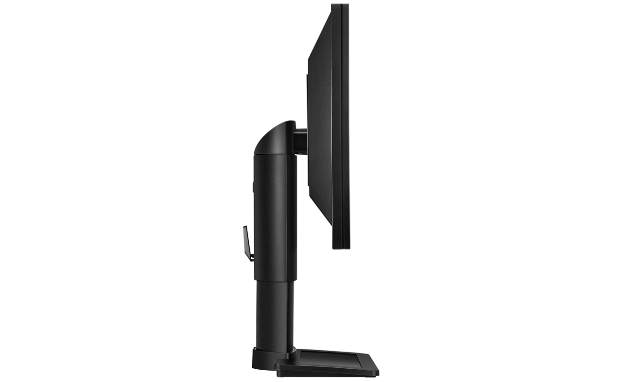 BenQ BL2411PT
