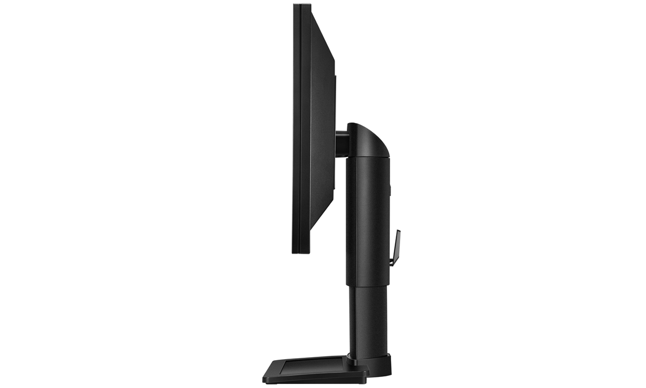 BenQ BL2411PT