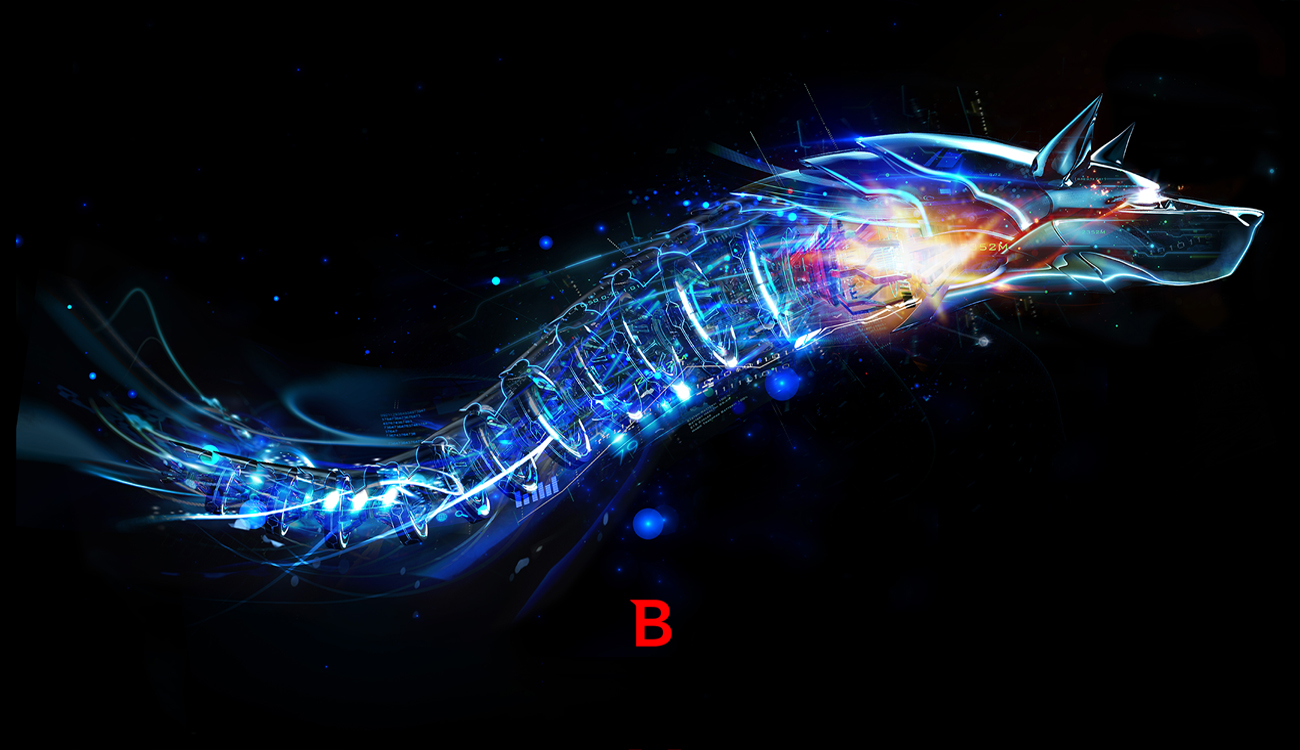 Bitdefender Internet Security 2017 prywatność