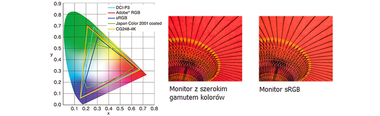Eizo CG248-BK 4K Odwzorowanie 99% przestrzeni barw Adobe RGB