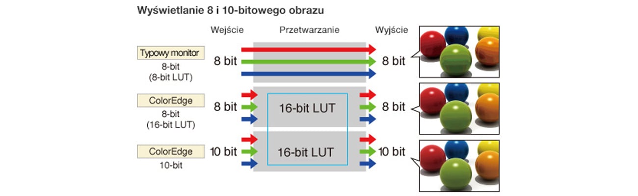 Eizo CS2420-BK Jednoczesne wyświetlanie kolorów z palety 10-bitowej