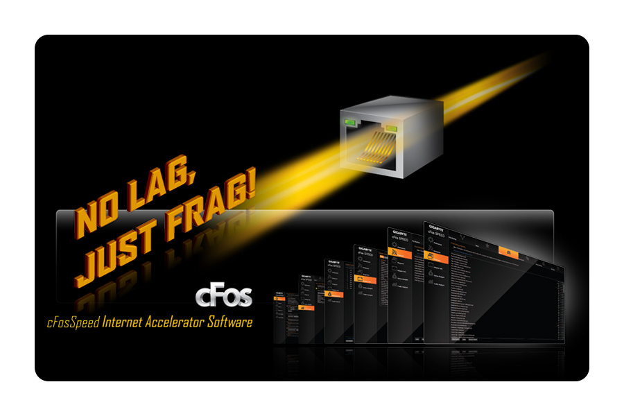 Realtek Green GbE LAN - cFosSpeed LAN