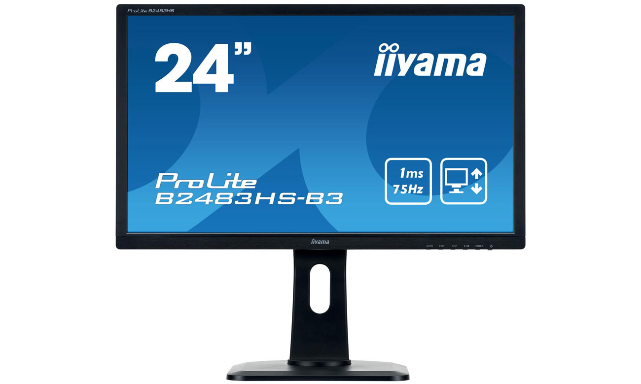 IIYAMA B2483HS-B3 Głośniki i wyjście słuchawkowe