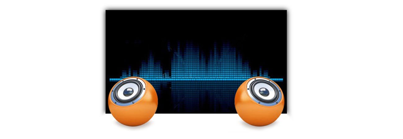 iiyama E2480HS wbudowane głośniki stereo