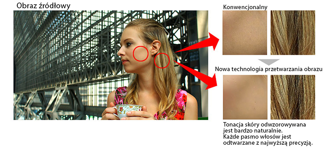 detekcja składowych obrazu