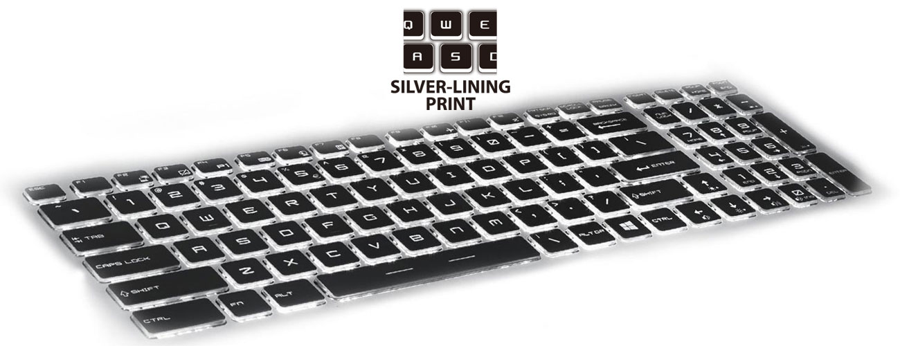 MSI PX60 6QE Silver Linning Print