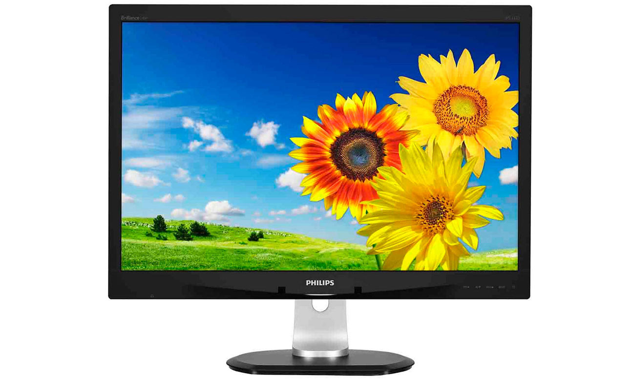 Philips 240P4QPYNB/00