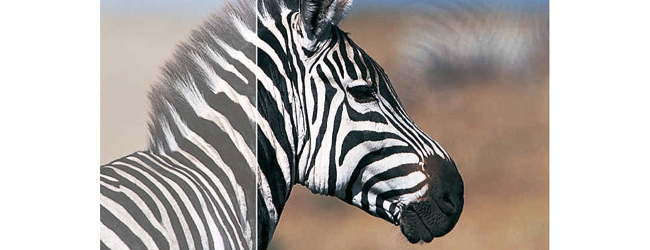 SmartContrast