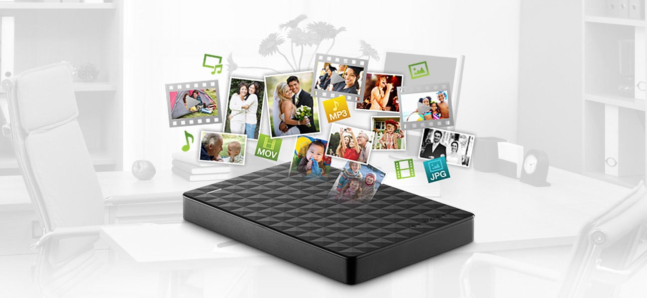 Seagate Expansion Portable