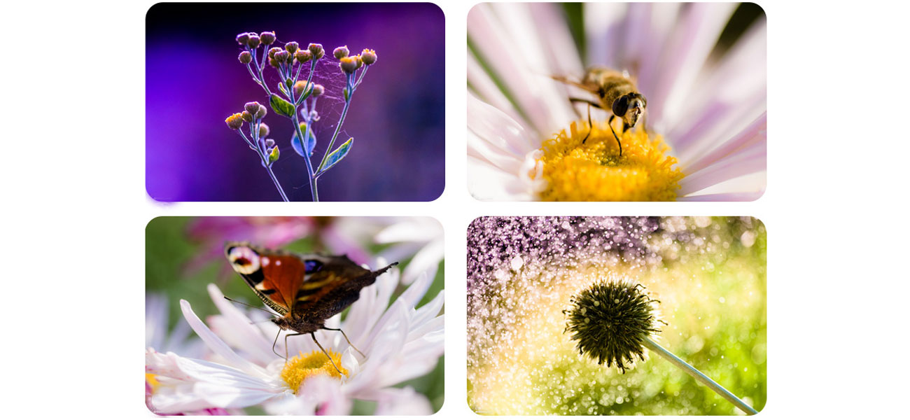 Obiektywy stałoogniskowy Tokina AT-X M100 AF PRO D NIKON