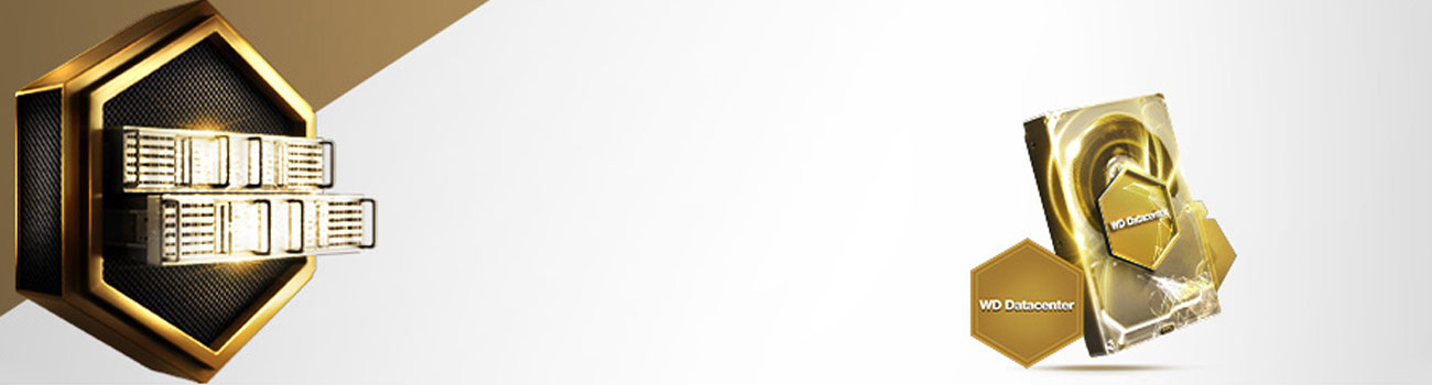 Dysk HDD WD RE Wydajny i szybki