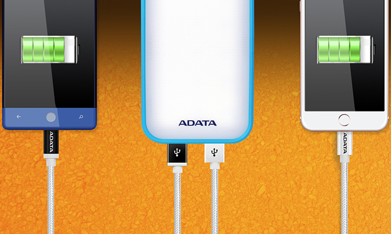 ADATA Power Bank D8000 2.1A LED