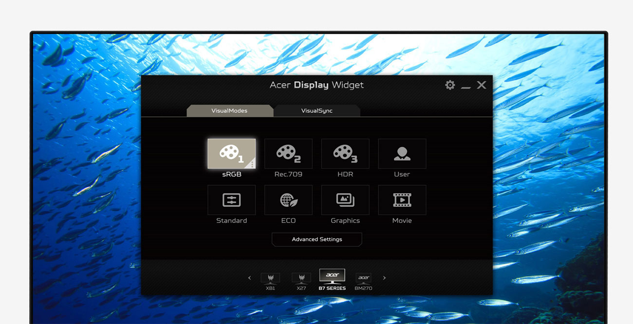 Acer Display Widget