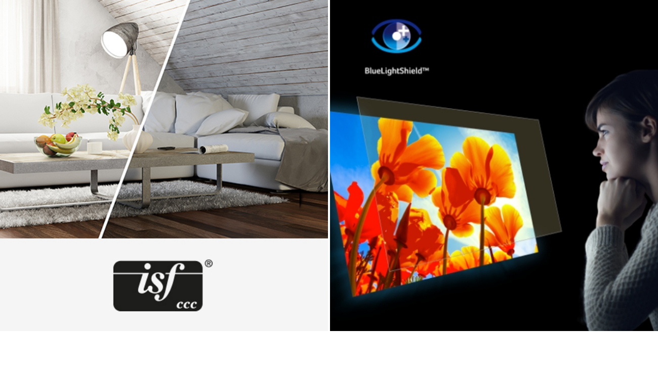 Projektor kina domowego Acer H6541BDi