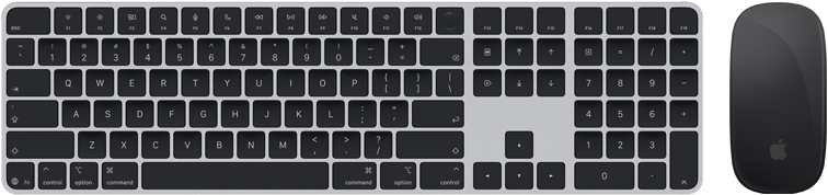 Widok z góry na klawiaturę Magic Keyboard z Touch ID i mysz Magic Mouse
