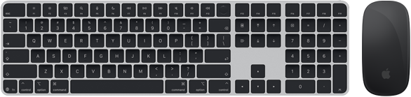 Widok z góry na klawiaturę Magic Keyboard z Touch ID i mysz Magic Mouse