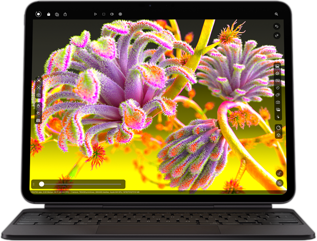 iPad Pro M4 Wi-Fi 11インチ 256GB Apple iPad Pro 11
