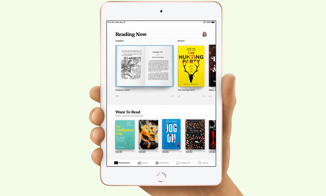 iPad mini ekran retina