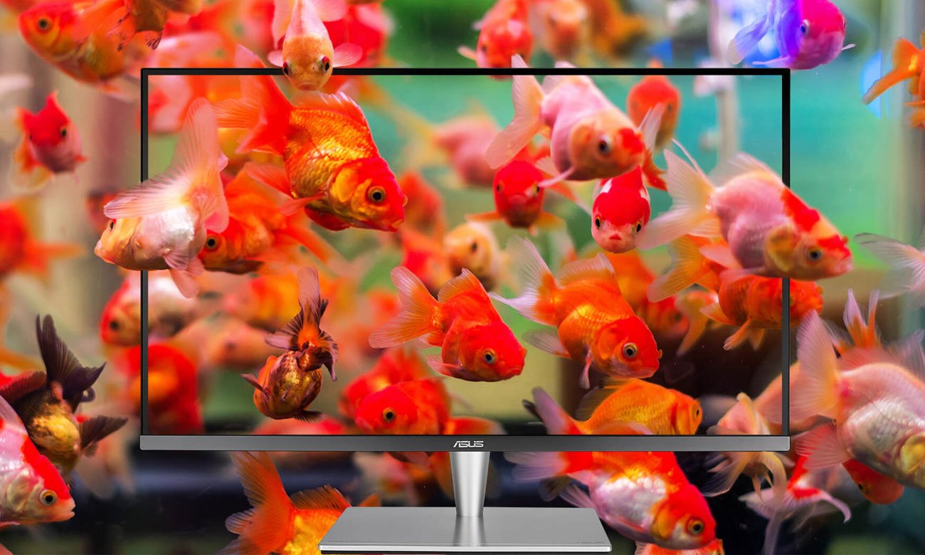 ASUS ProArt PA32UC-K