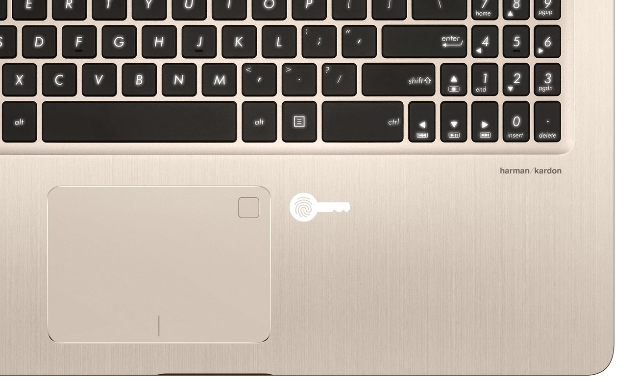 ASUS VivoBook Pro 15 N580GD Czytnik linii papilarnych