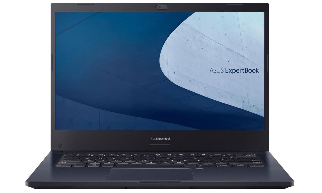ASUS ExpertBook P2 ekran