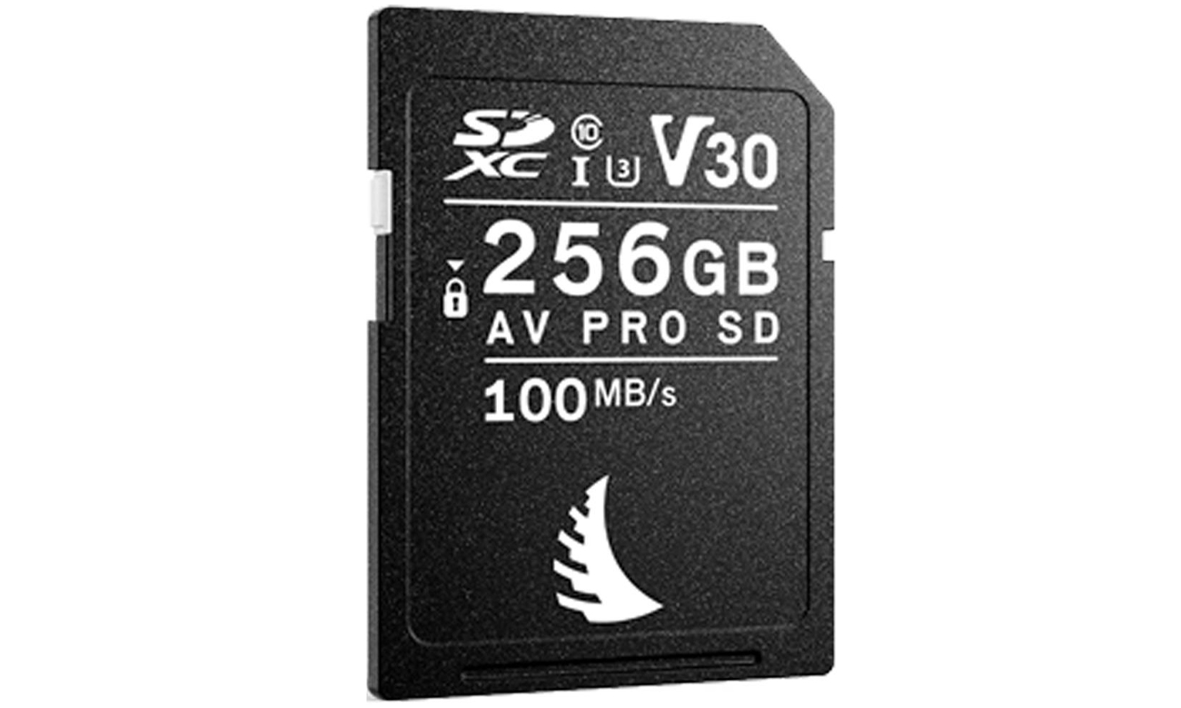 Karta pamięci Aneglbird 256GB AV PRO SDXC MK2 V30 100MB/s