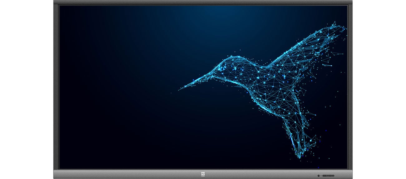 Monitor Avtek TouchScreen 5 Lite 55 1TV135