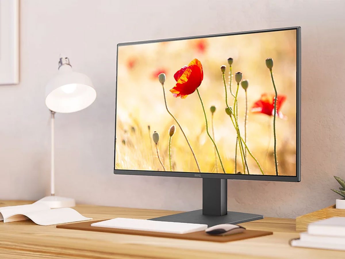 BenQ GW2491