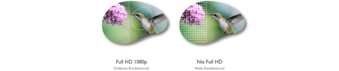 MH750 DLP Full HD