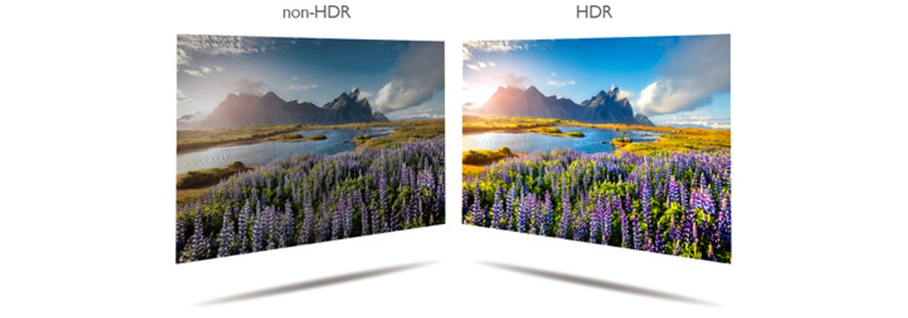 BenQ SW271 HDR