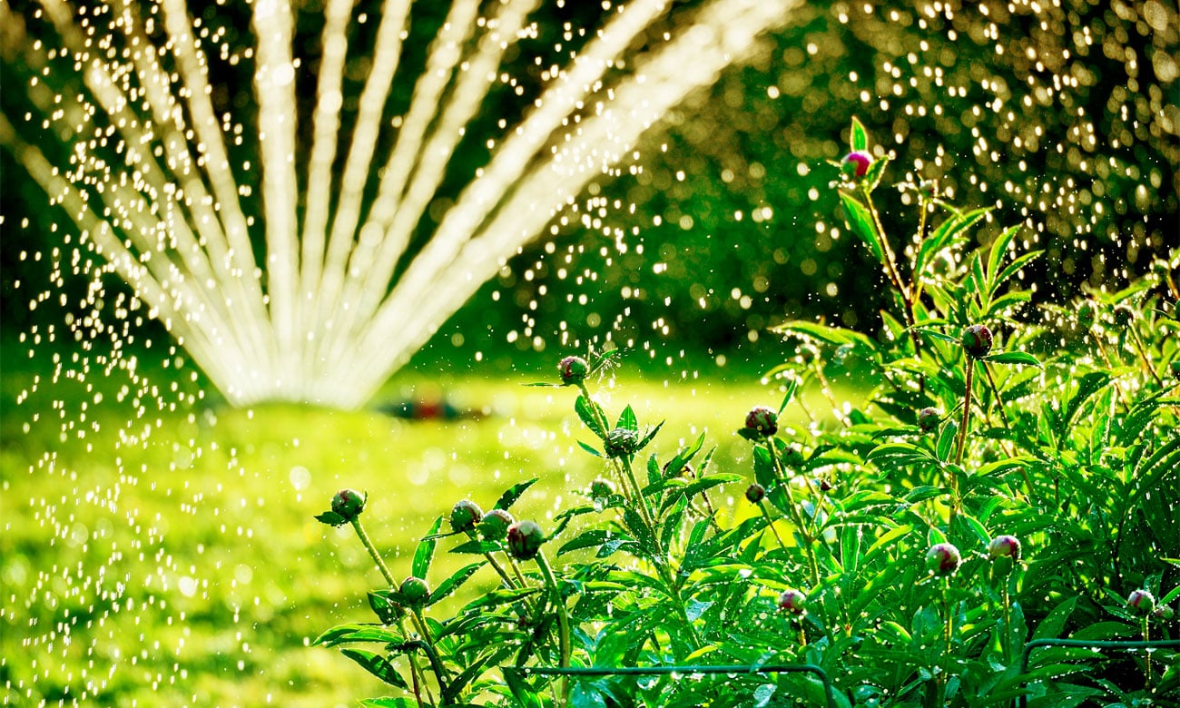 Automatyzacja zraszacz