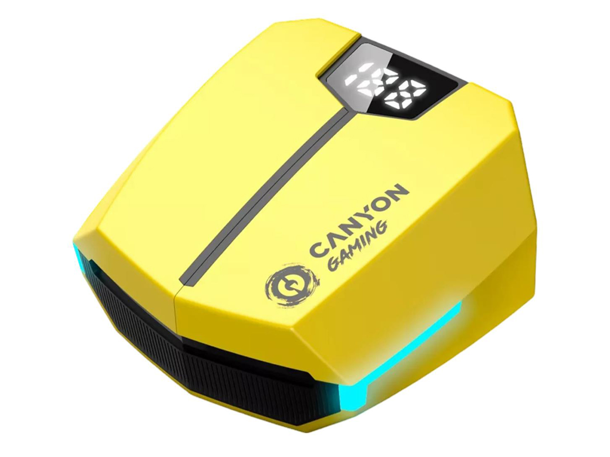 CANYON DoubleBee GTWS-2