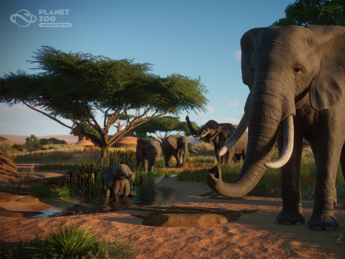 Zrzut ekranu screenshot z gry Planet Zoo: Edycja konsolowa