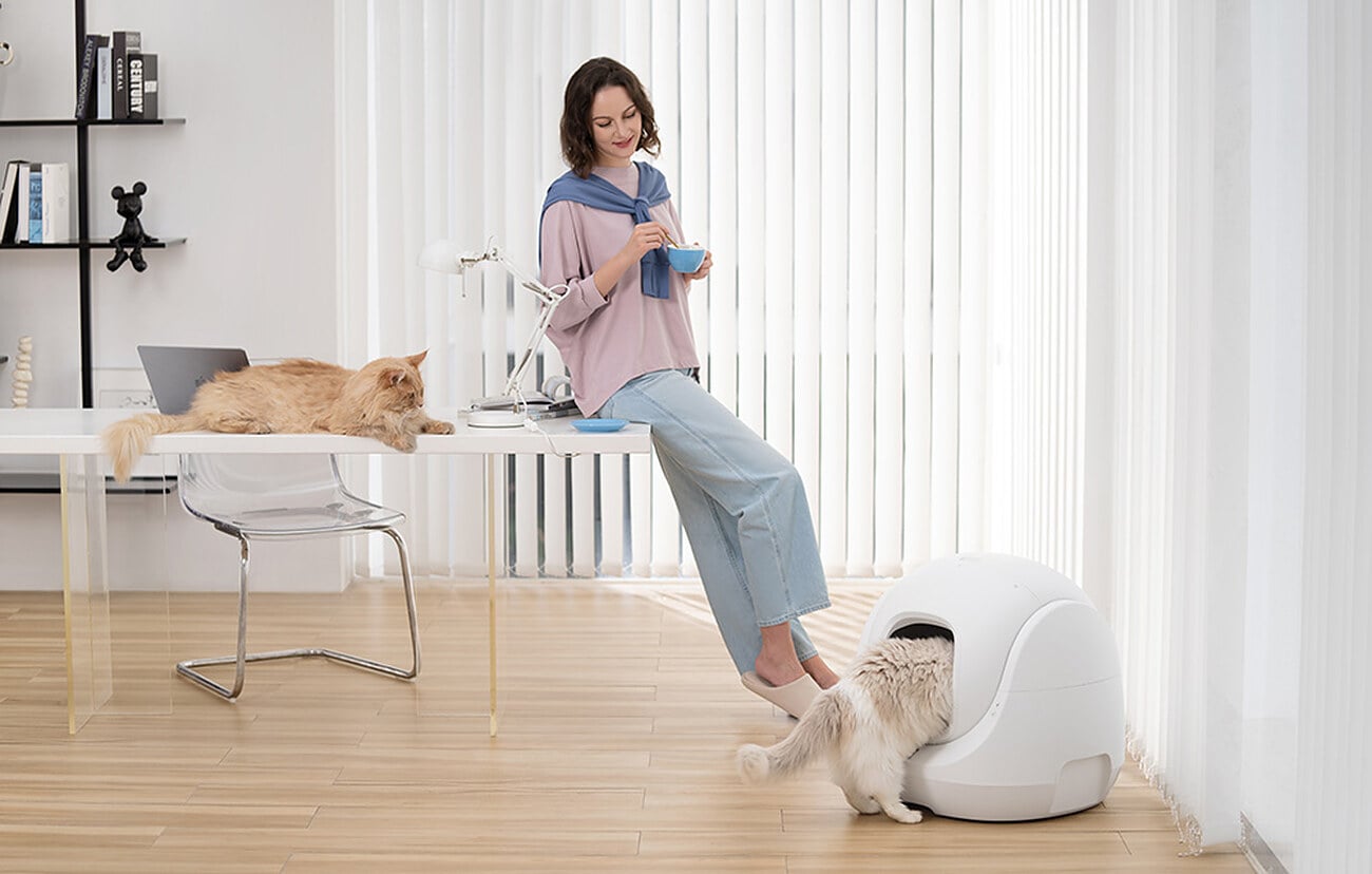 Kobieta przy biurku patrzy na kota wchodzącego do kuwety CATLINK BayMax
