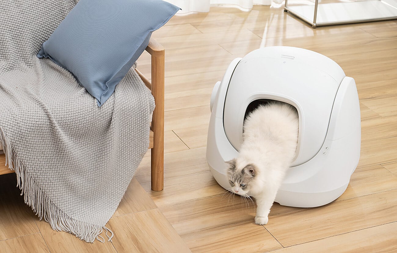 Kot wychodzi z kuwety CATLINK BayMax stojącej przy sofie