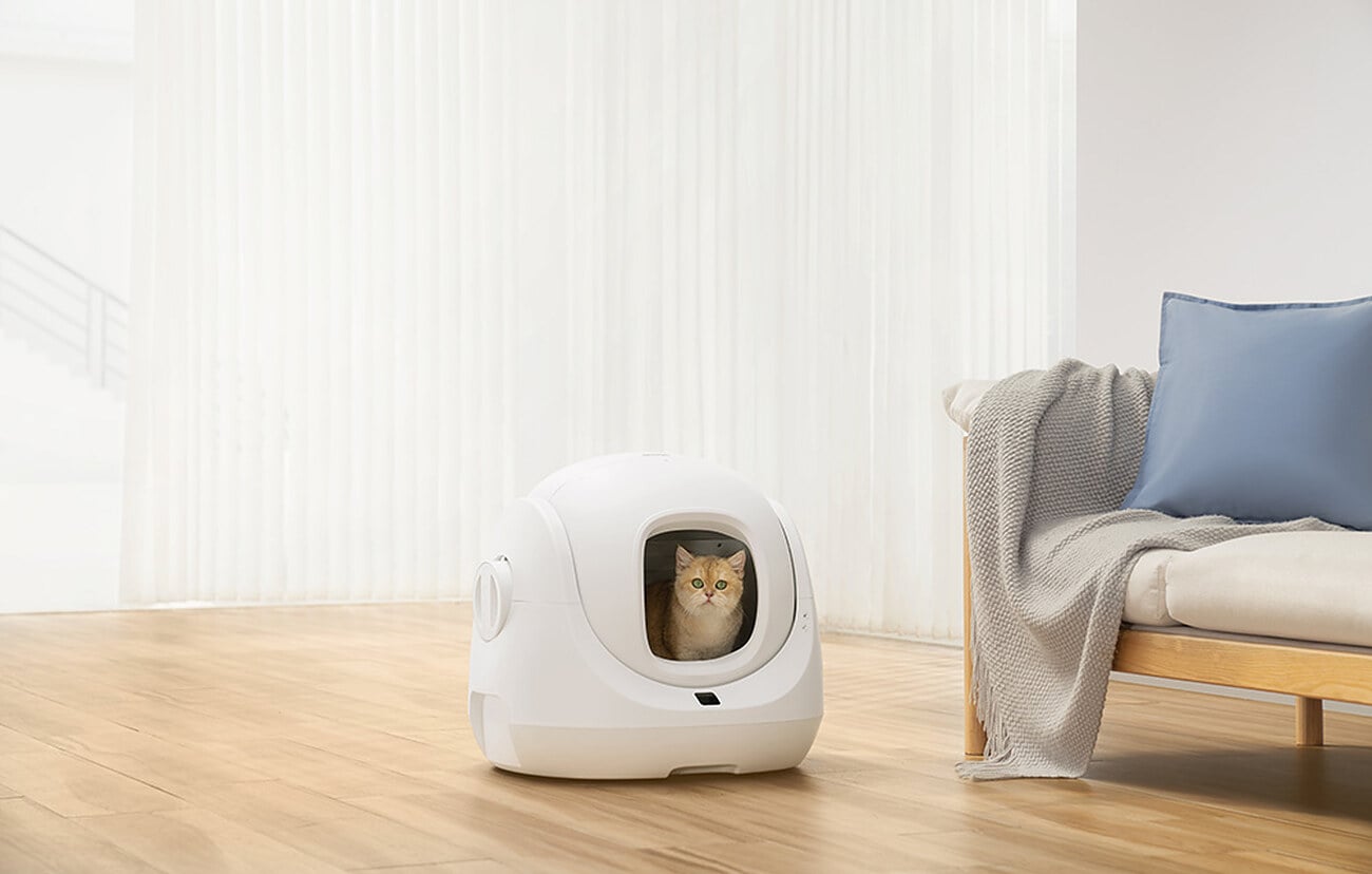 Kot siedzi w kuwecie CATLINK BayMax ustawionej w jasnym salonie obok sofy