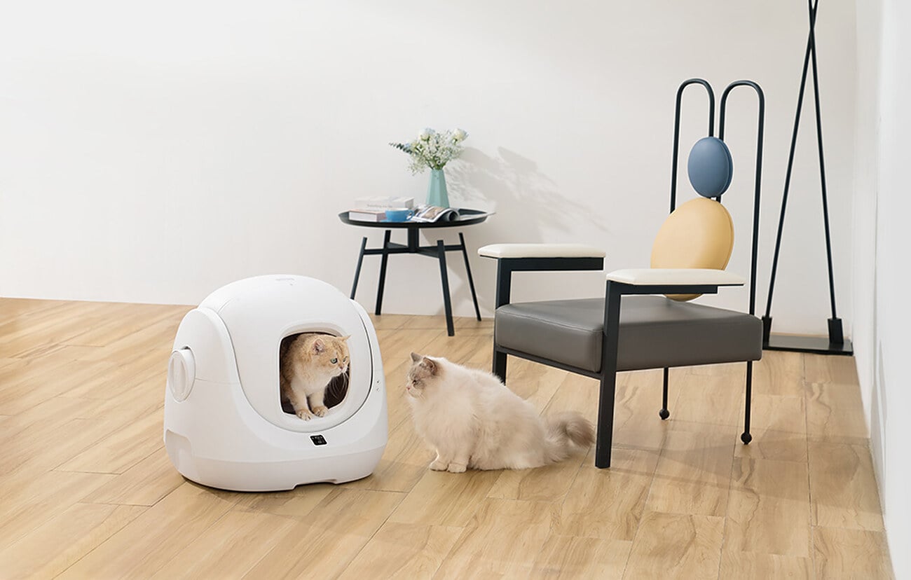 Zamknięta kuweta CATLINK BayMax w salonie, jeden kot siedzi w środku, drugi obok