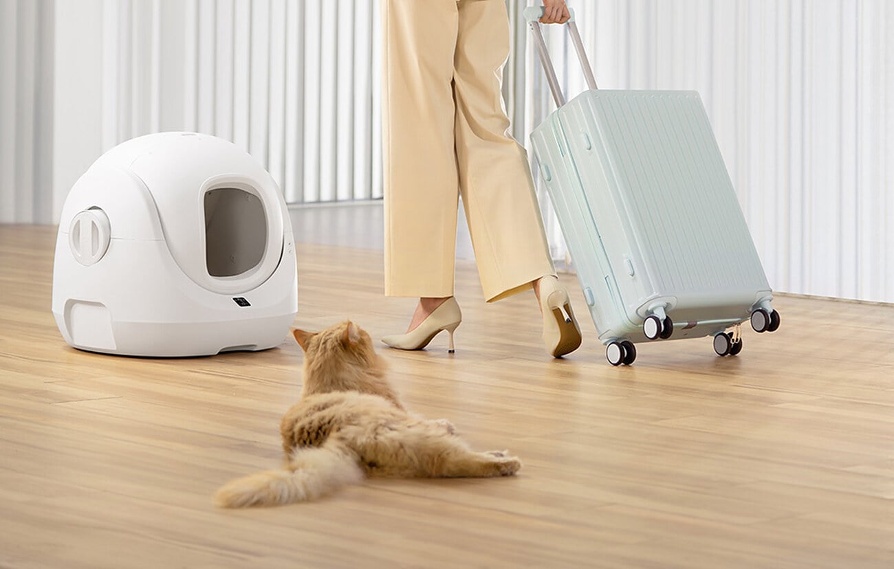 Kobieta z walizką wychodzi z domu, kot leży obok kuwety CATLINK BayMax