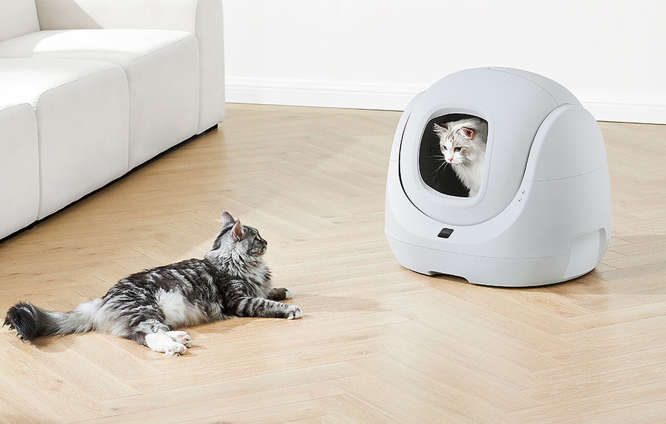 Kot leży na podłodze, w tle kuweta CATLINK BayMax Lite z drugim kotem w środku
