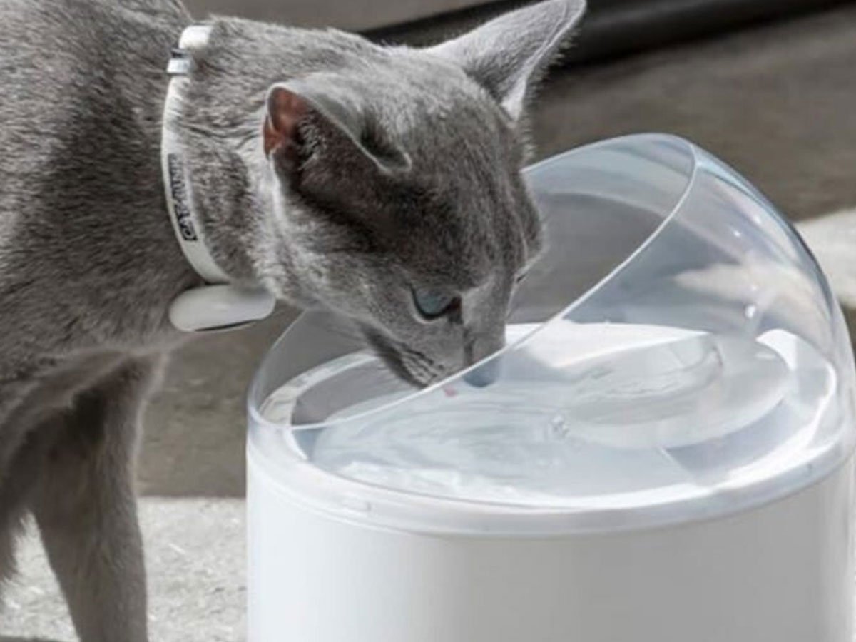 Catlink Inteligentna fontanna dla psa i kota Pure 2