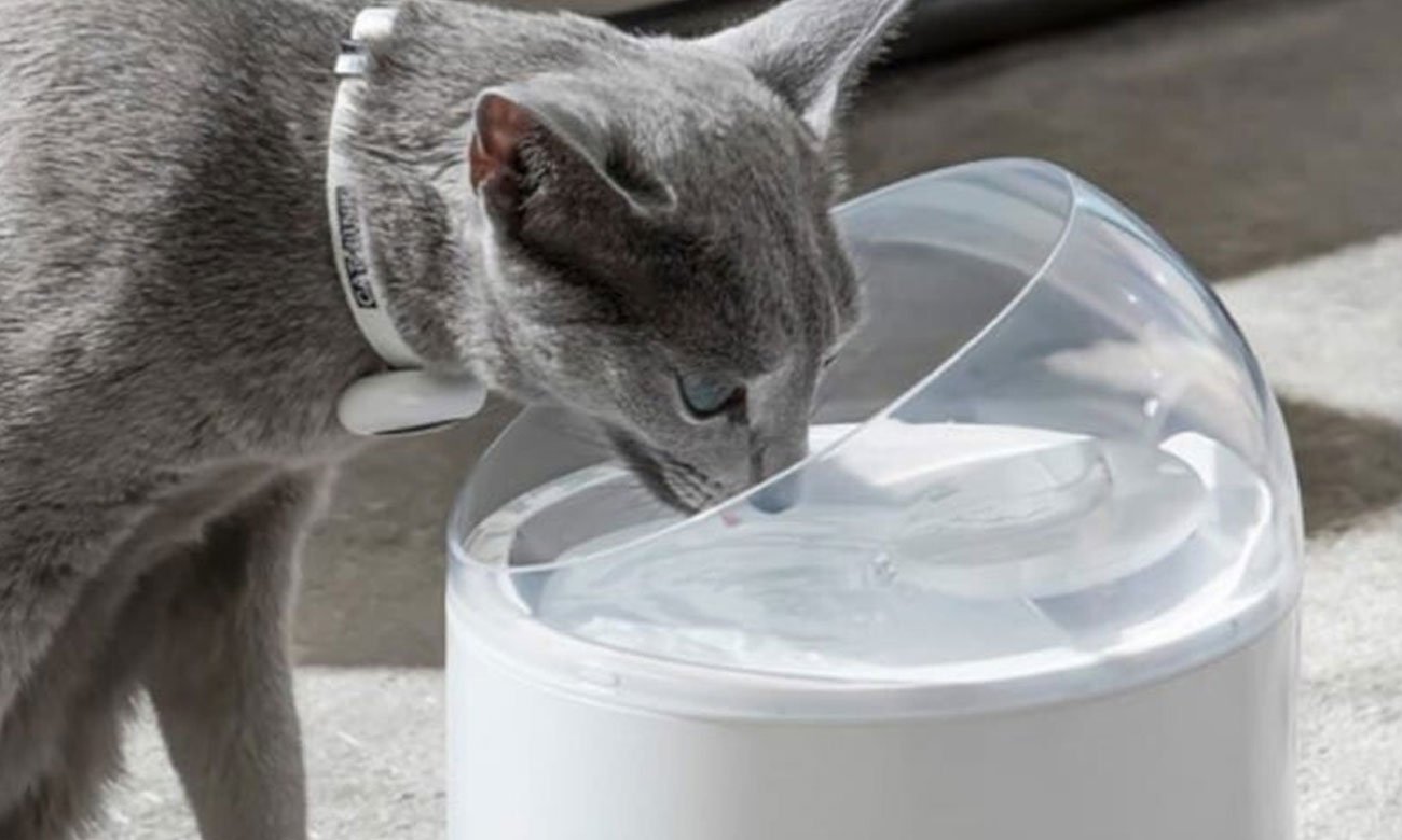 Catlink Inteligentna fontanna dla psa i kota Pure 2